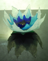 Jenia Gorfunkel - triple bowl