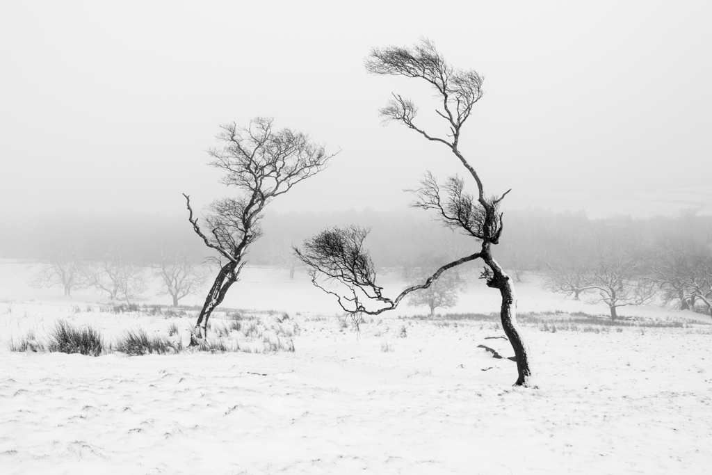 Simon Howlett Photography