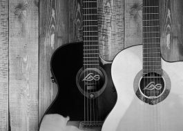 Mam'estelle Mam'estelle