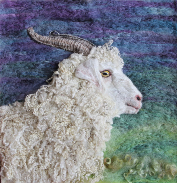 <strong>Jane Firth</strong> Angora goat