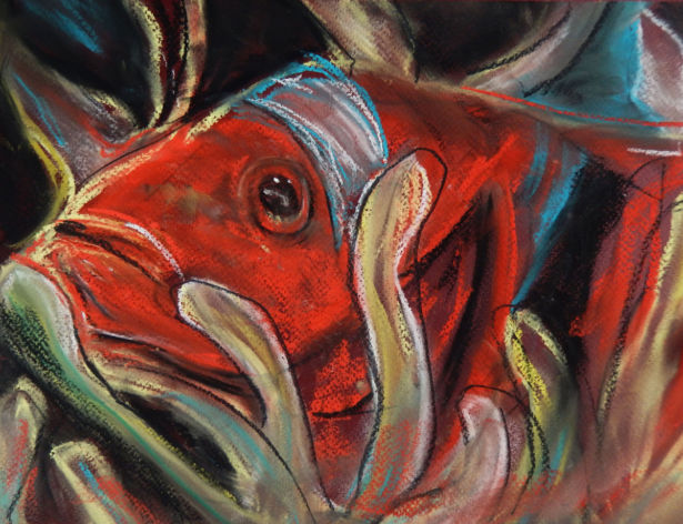 <strong>Sarah Reid</strong> Frank