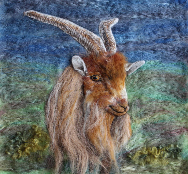 <strong>Jane Firth</strong> Golden Guernsey goat