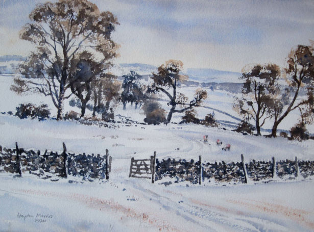 <strong>Haydn Morris</strong> Winter Trees, Askham Fell
