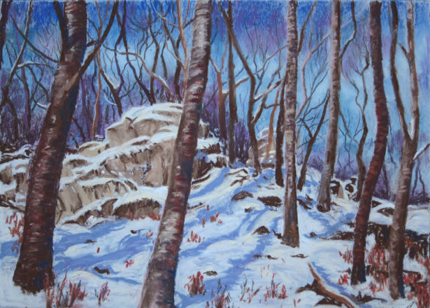 <strong>Haydn Morris</strong> Winter in the Woods, Loughrigg