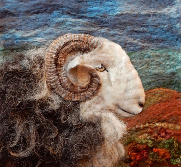 <strong>Jane Firth</strong> Herdwick ram