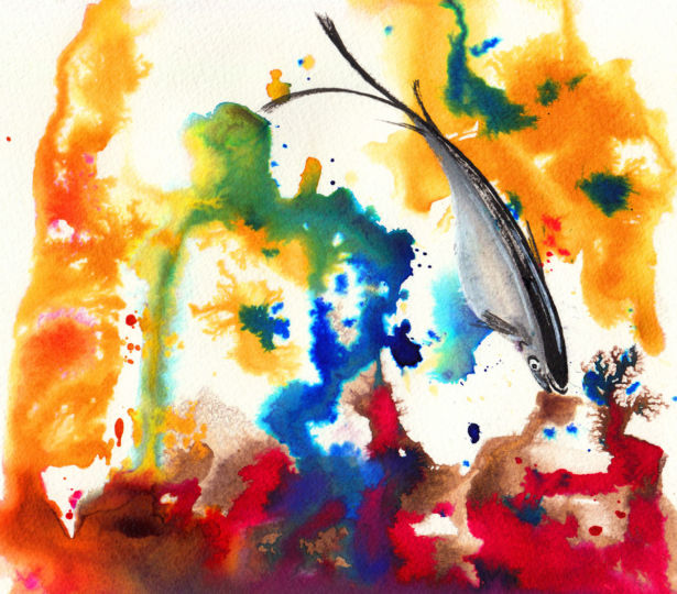 <strong>Martin Reid</strong> Coral