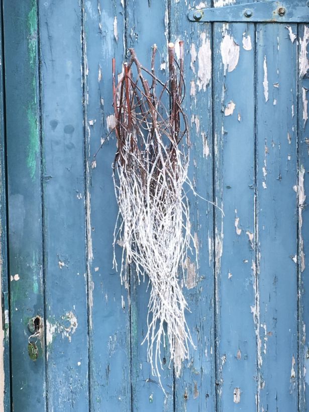 <strong>Maggi Toner-Edgar</strong> Embrace