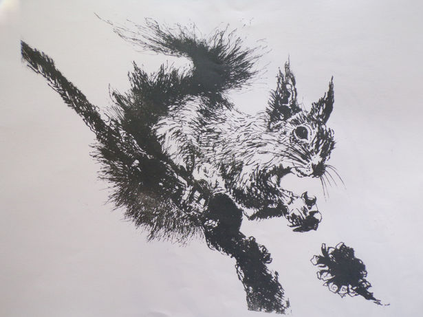 <strong>Elli Logan</strong> native squirrel