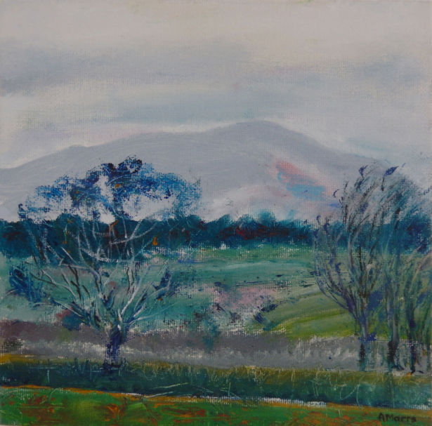 <strong>Alison Marrs</strong> Criffel Evening
