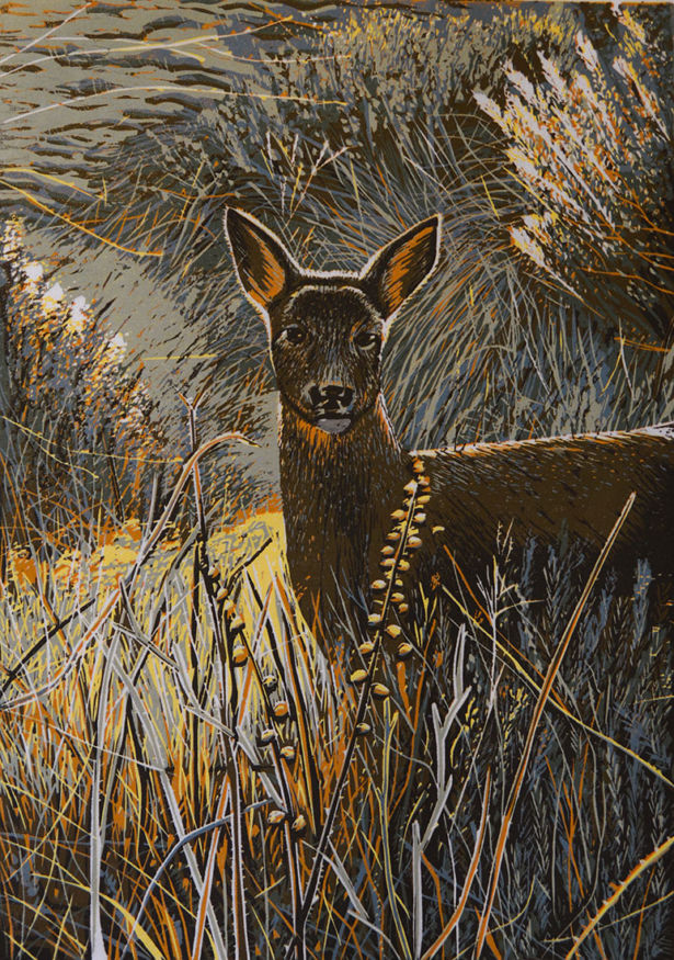 <strong>Liz Jones</strong> Morning Deer
