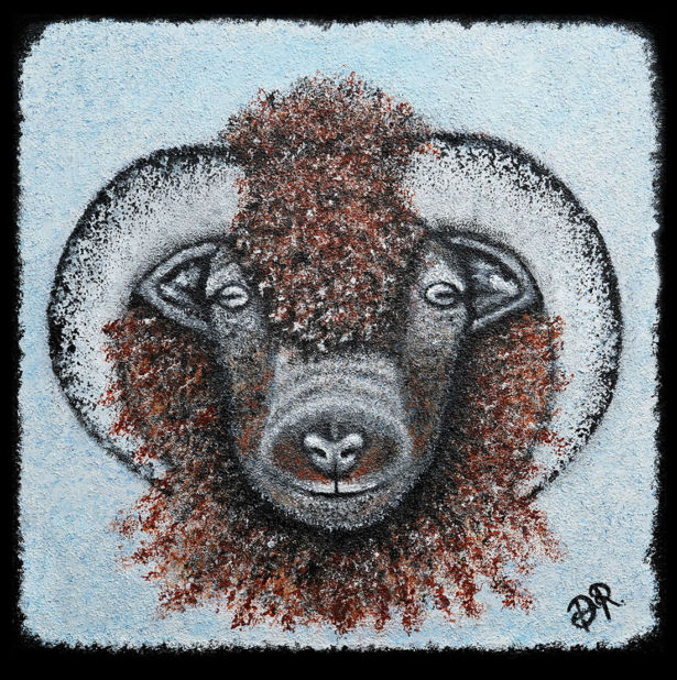 <strong>Dawn Richards</strong> The Little Herdwick
