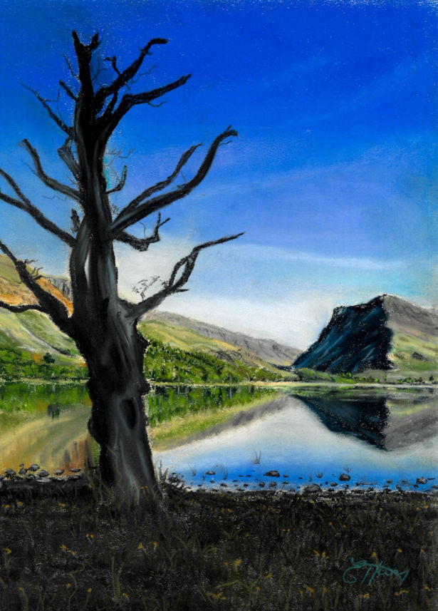 <strong>Emma Hunt</strong> Crummock Dead Tree