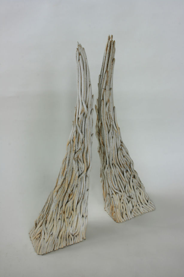 <strong>Bob Park</strong> Twins 2