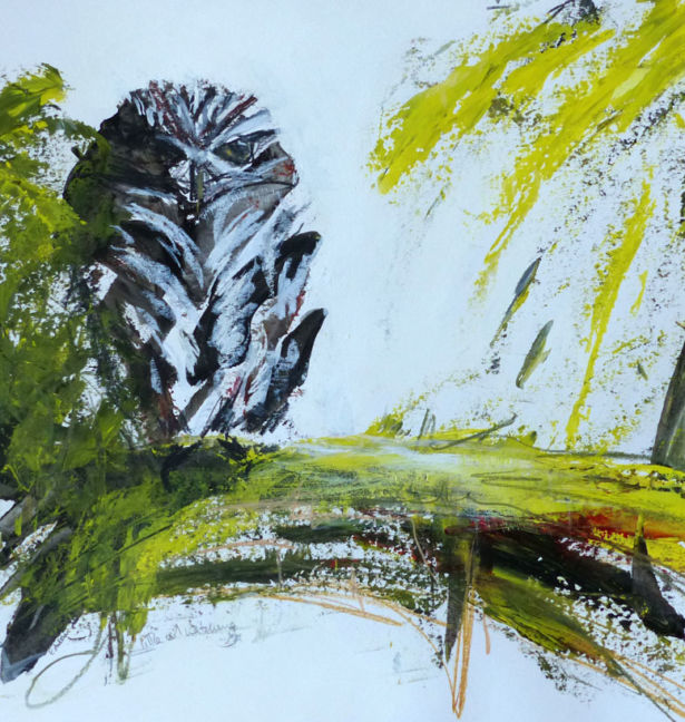 <strong>Eileen Anderson</strong> Little Owl Watching