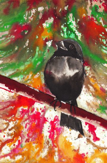 Christmas Bird