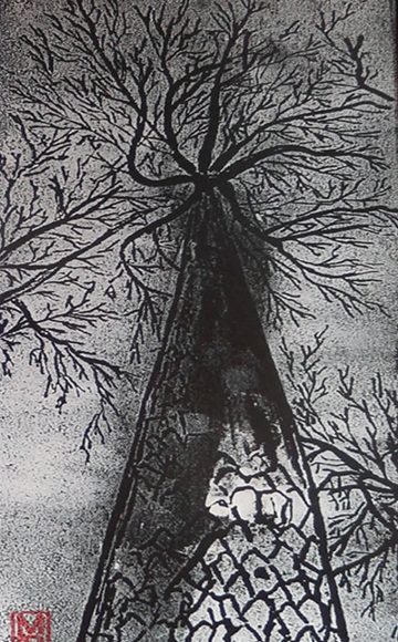 Winter Tree