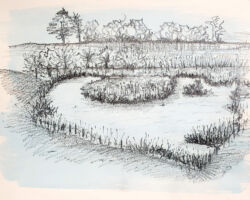 Janie Robinson Janie Robinson